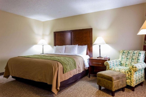 Comfort Inn Columbia - Bush River image 14