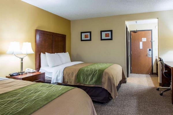 Comfort Inn Columbia - Bush River image 15